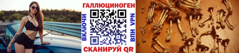 блэк спрут маркетплейс  Омск  Псилоцибиновые грибы Cubensis 