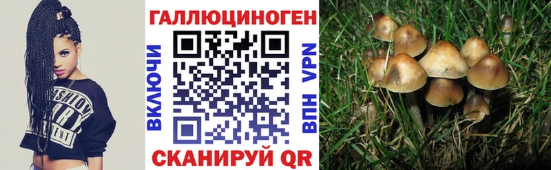 Галлюциногенные грибы прущие грибы Омск